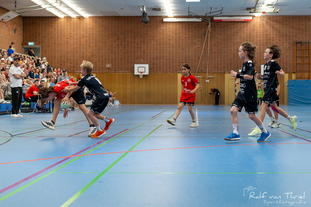 Quirinus gemischte F