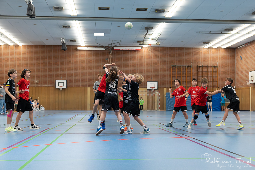 Quirinus gemischte F