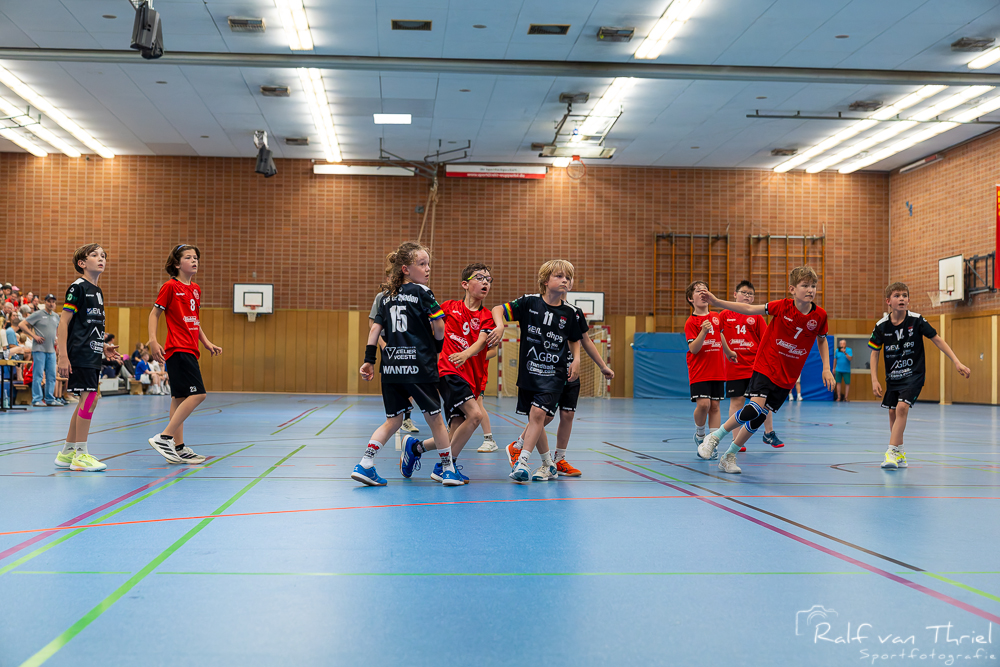 Quirinus gemischte F