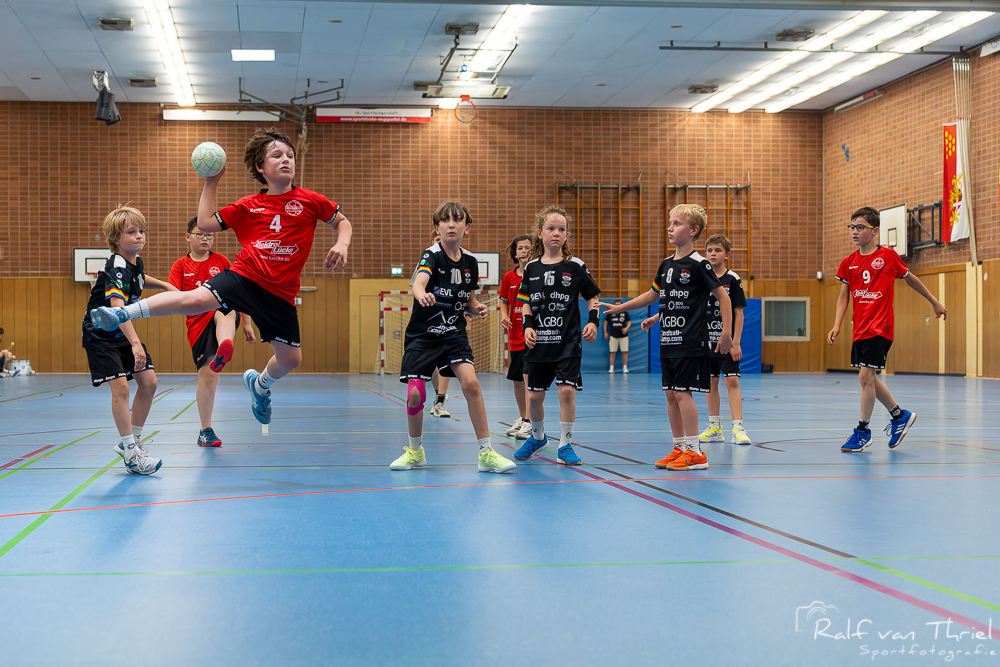 Quirinus gemischte F