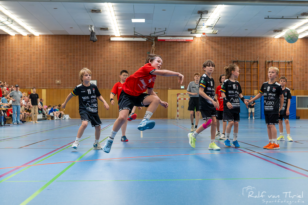 Quirinus gemischte F
