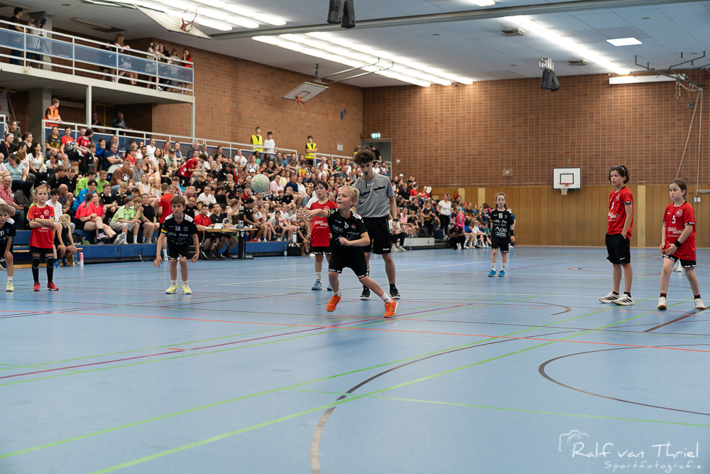 Quirinus gemischte F