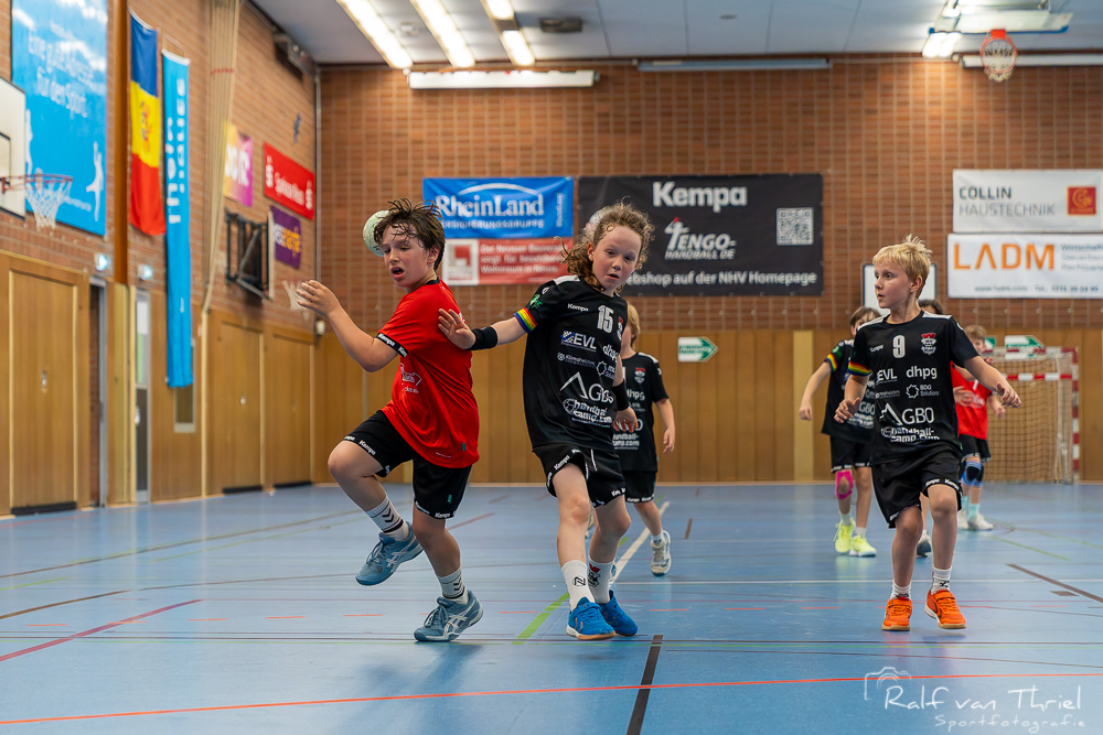 Quirinus gemischte F