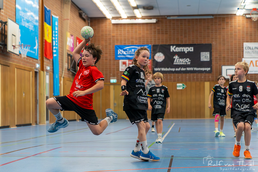 Quirinus gemischte F