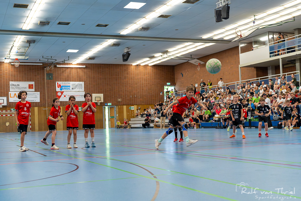 Quirinus gemischte F