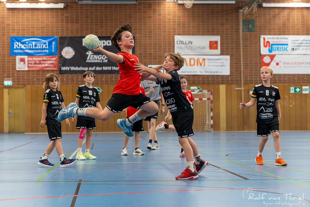 Quirinus gemischte F