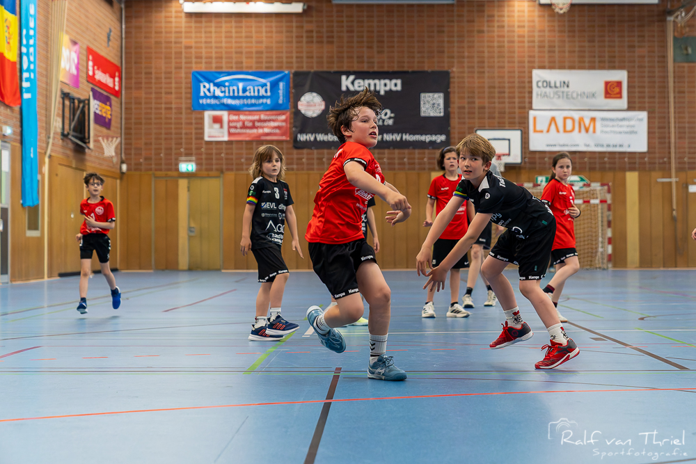 Quirinus gemischte F