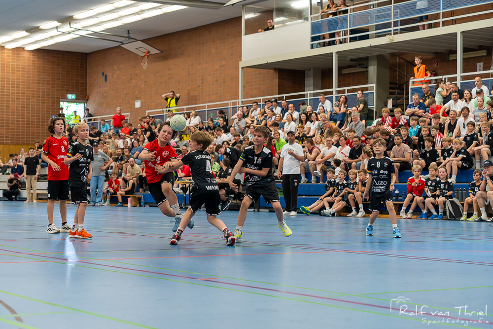 Quirinus gemischte F